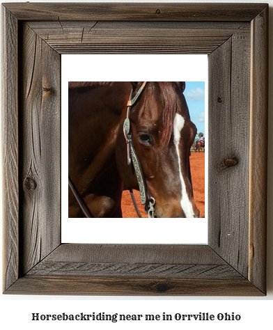 horseback riding near me in Orrville, Ohio